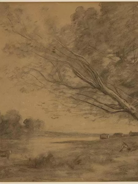 Paisaje de un árbol grande
